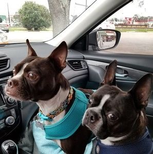 Meet your Posher, Peggy